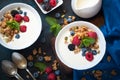 Greek yogurt with granola and fresh berries. Royalty Free Stock Photo