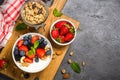 Greek yogurt granola with fresh berries . Royalty Free Stock Photo