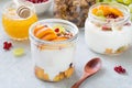 Greek yogurt, granola and fruits breakfast in jar Royalty Free Stock Photo