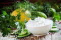 Greek yogurt sauce, cucumber and herbs, selective focus Royalty Free Stock Photo