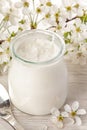 Greek yogurt with white flower background