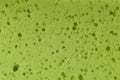 Green abrasive sponge texture background