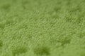 Green abrasive sponge texture background. close up . The texture sponge green