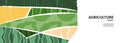 Green abstract agriculture field vector background. Agro banner template, farm presentation header. Horizontal layout Royalty Free Stock Photo