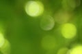 Green Abstract Background, Bokeh