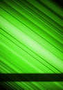 Green abstract background.