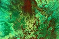 Green abstract background. Multicolor alcohol ink blots and stains flow, wallpaper print. Creative backdrop Royalty Free Stock Photo