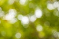 Green abstract bokeh background Royalty Free Stock Photo