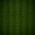 Green abstract canvas background Royalty Free Stock Photo