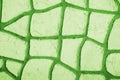 Green abstract patterns Royalty Free Stock Photo