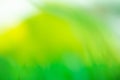 Green abstract spring background. Spring time bokeh nature view