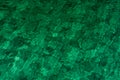 Green abstract texture background of emerald green sea water. Top view of green sea water with unique pattern. Green background. Royalty Free Stock Photo