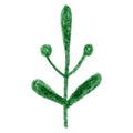 Green abstract tree isolated element. Hand drawn graphic branches, flowers and leaves. Pencil botanical sketch. Can be used for de Royalty Free Stock Photo