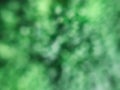 Green abstract unfocused blurred background texture photo