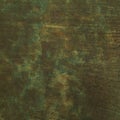 Green Acid Washed Leather Print Texture