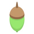 Green acorn icon, isometric style