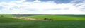 Green agricultural field Royalty Free Stock Photo