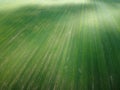 Green agricultural field, aerial view. Farmland landscape. Background