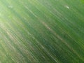 Green agricultural field, aerial view. Farmland landscape. Background
