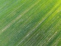 Green agricultural field, aerial view. Farmland landscape. Background