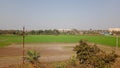 Green Agriculture field with wheat crop in India Royalty Free Stock Photo