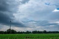 A green agriculture field of young corn in springtime under a dark threatening stormy sky with dark clouds. Electric