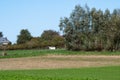 Green agriculture fields at the Flemish countryside, Asse, Belgium