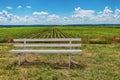 Green agriculture fields and sunset in blue sky with cloudsA white wooden bench and green agriculture fields in blue sky with clou Royalty Free Stock Photo