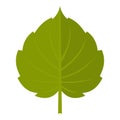 Green alder leaf icon isolated