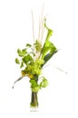 Green Alepes kalla bouquet Royalty Free Stock Photo