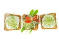 Green alfalfa sprouts,fresh and dried tomatoes on toasted slices of wholegrain bread isolated on white background Royalty Free Stock Photo