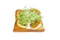 Green alfalfa sprouts, grilled portabello mushrooms on toasted slices of wholegrain bread on white Royalty Free Stock Photo