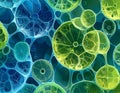 Green Algae Biofuel Cells Under Microscope Royalty Free Stock Photo