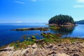 Green Algae on Boulders at Campbell Point, Bennett Bay, Gulf Islands National Park and Reserve, British Columbia, Canada Royalty Free Stock Photo