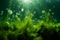 Green algae bubbles water. Generate Ai Royalty Free Stock Photo