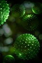 Green Algae Cells 3D Illustration