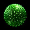 Green Algae Cells 3D Illustration