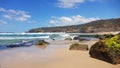 Green Algae Covered Boulder on Ghosties Beach New South Wales Australia