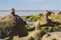 Green algae covered boulders at sea coast beach. Royalty Free Stock Photo