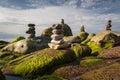 Green algae covered boulders at sea coast beach. Royalty Free Stock Photo