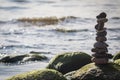 Green algae covered boulders at sea coast beach. Royalty Free Stock Photo