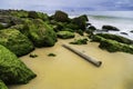 Green mossy seashore stones, green algea, yellow sand, bamboo stick Royalty Free Stock Photo