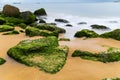 Green mossy seashore stones, green algea, yellow sand beach Royalty Free Stock Photo