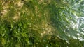 Green algae on the ocean shore in Portugal after low tide