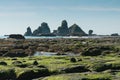 Green Algae on rock beach at Motukiekie Beach West Coast south Island New Zealand Royalty Free Stock Photo