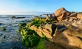 Green algae on a rock in the middle of the sea Royalty Free Stock Photo