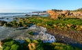 Green algae on a rock in the middle of the sea Royalty Free Stock Photo