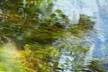 Green algae and stones in the river floor