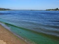 Green algae on the surface of the water. blooming water as a consequence of the dam structure and environmental pollution