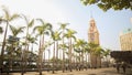 A green alley of palms in Hong Kong. The famous tower with a clock. Architectural sights of the city and the street.